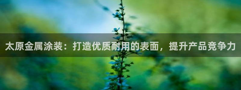 美高梅中国股吧