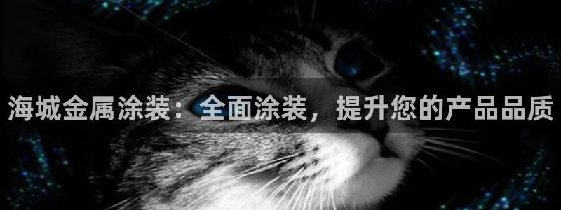 美高梅公司