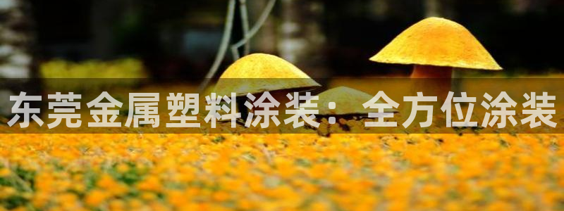 美高梅酒店价格