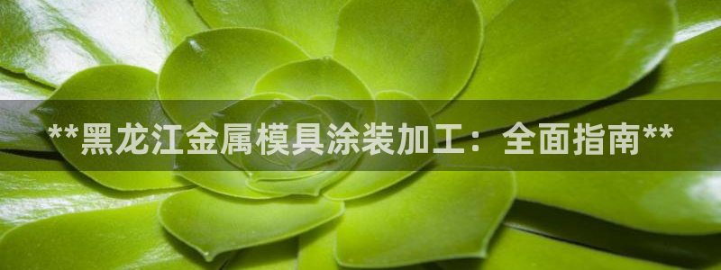 美高梅美荟酒店