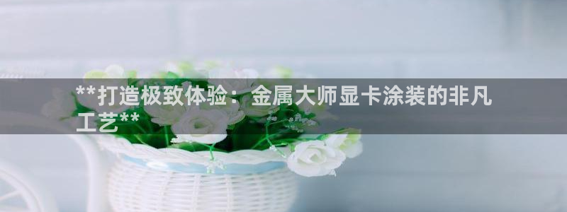 美高梅公司的业务范围