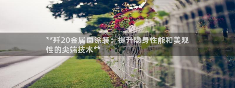 美高梅酒店青岛自助
