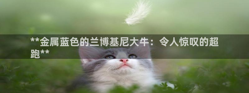 美高梅酒店入住时间