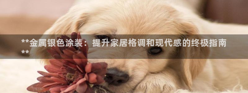 美高梅音乐会