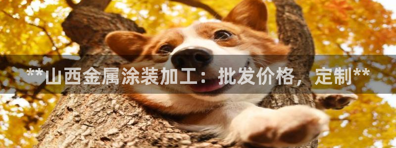 美高梅直营游戏
