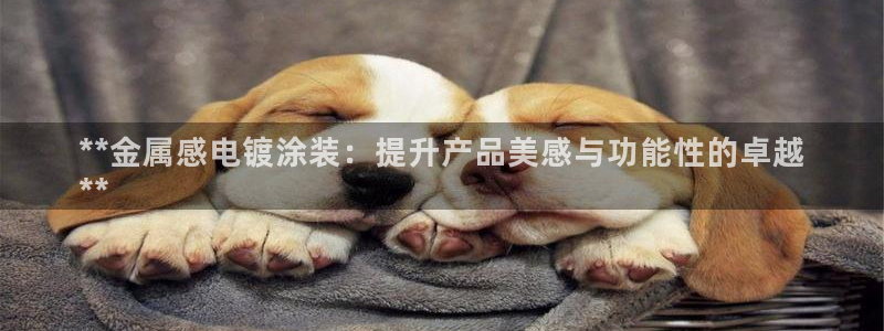 美狮美高梅酒店飞鱼表演时间