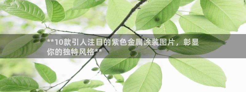 美高梅文旅