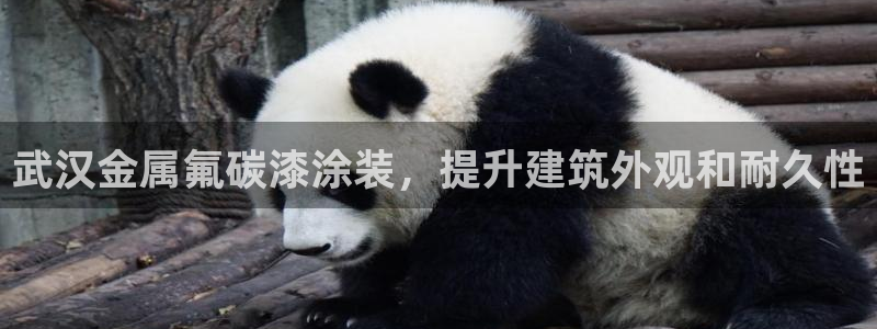 美高梅全国有几家