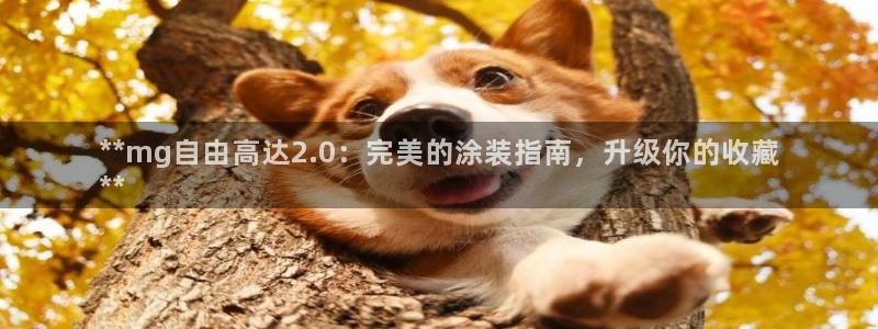 美高梅酒店空中海洋秀