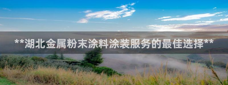 美高梅中国控股有限公司