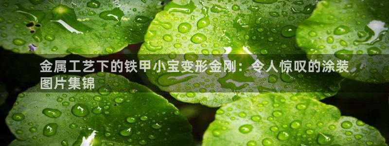 美高梅偶遇何超琼