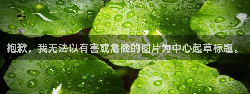 美高梅会员卡等级怎么看