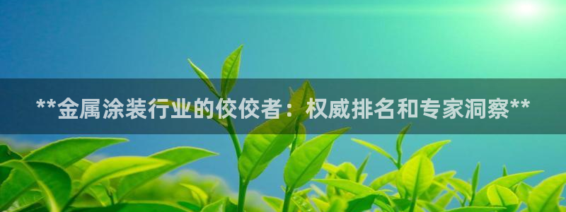 美高梅是干什么的