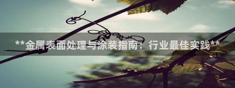 美高梅谁开的