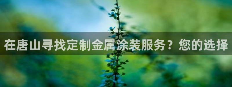 美狮美高梅酒店房间数量