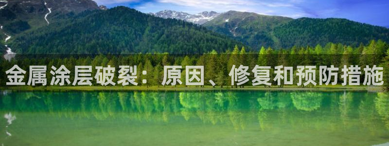 美高梅公司怎么样