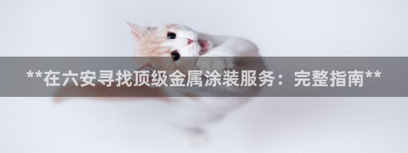 美高梅股票涨了多少
