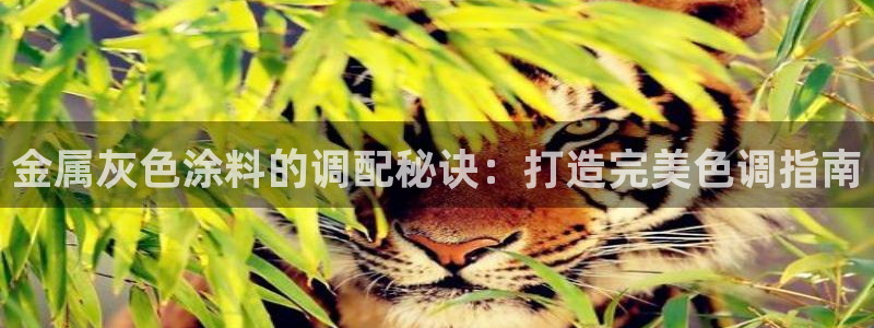 美狮美高梅酒店风水