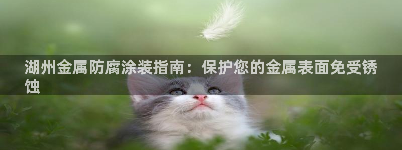 美高梅二手房