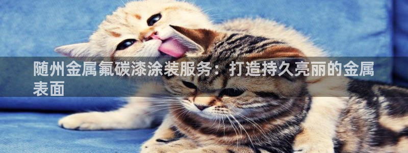 美高梅图标