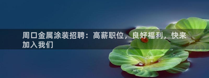 美高梅酒店有几家