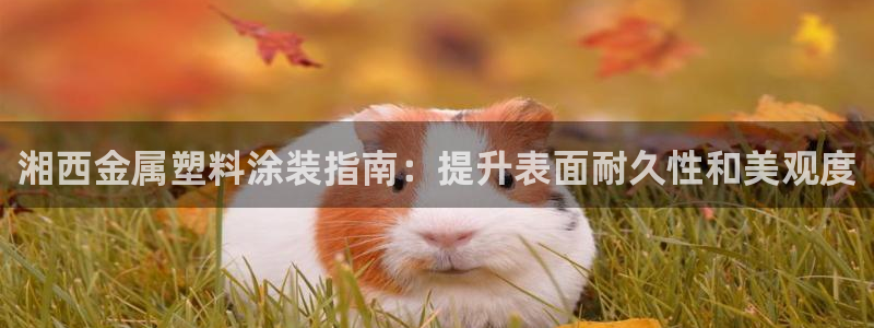 美高梅会员卡密码