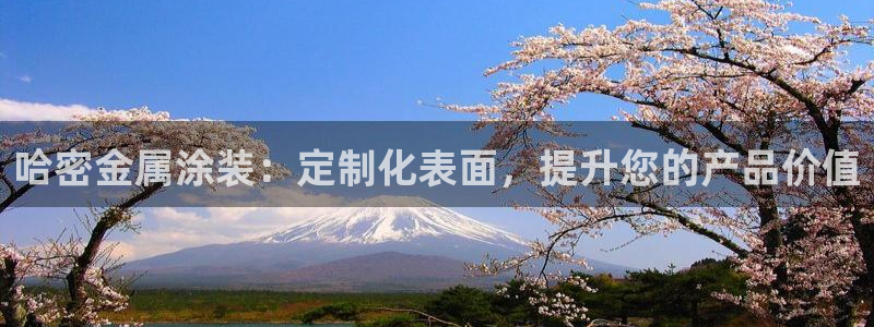 美狮美高梅有什么品牌