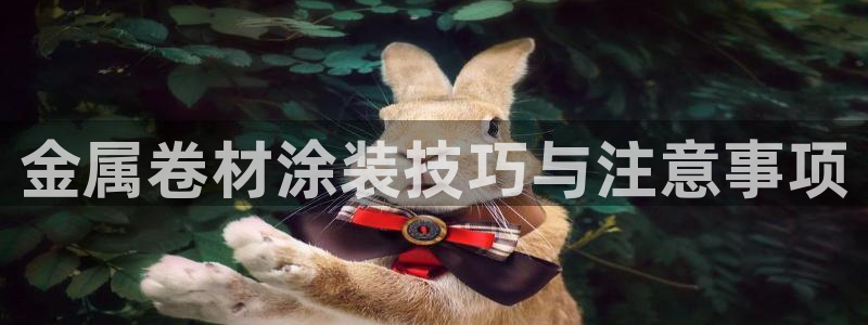 美高梅会员等级怎么升