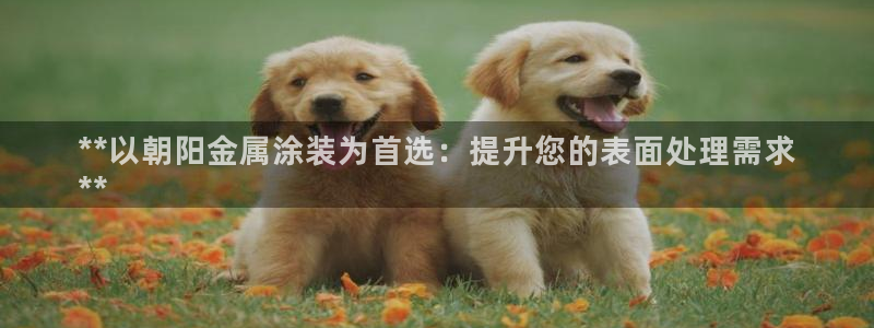 美狮美高梅酒店发财车