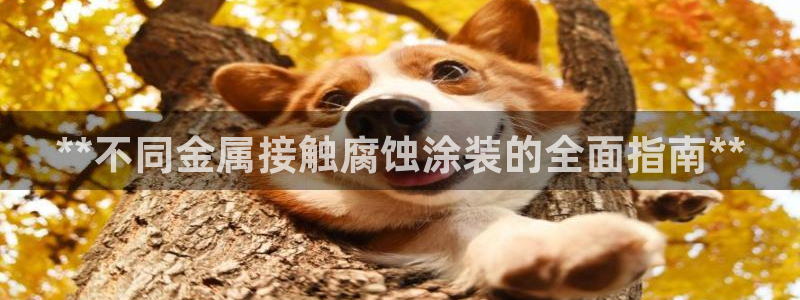 美高梅穿梭巴士免费吗