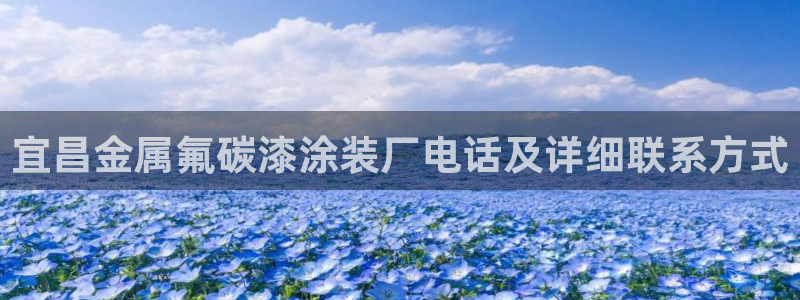美高梅集团公司