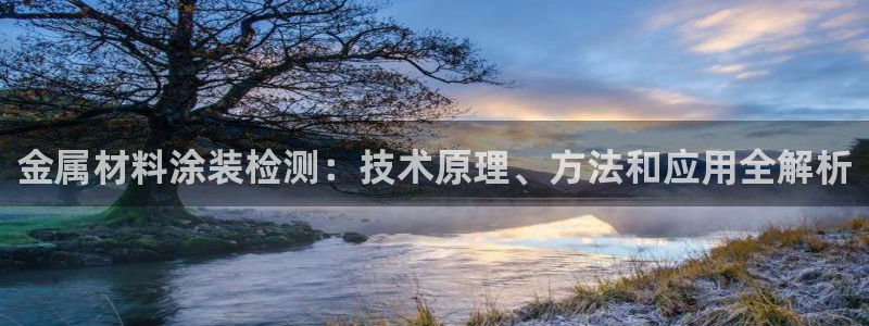 美狮美高梅酒店集团