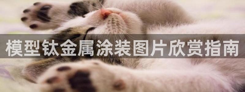 美狮美高梅酒店客房多少间