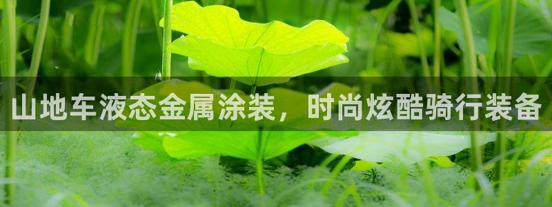 美高梅是上市公司吗
