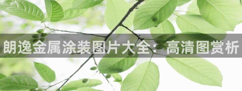 美高梅会员等级
