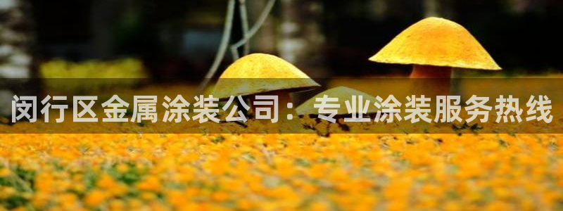 美高梅飞鱼表演还有吗