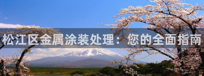 美高梅会员卡积分规则是什么