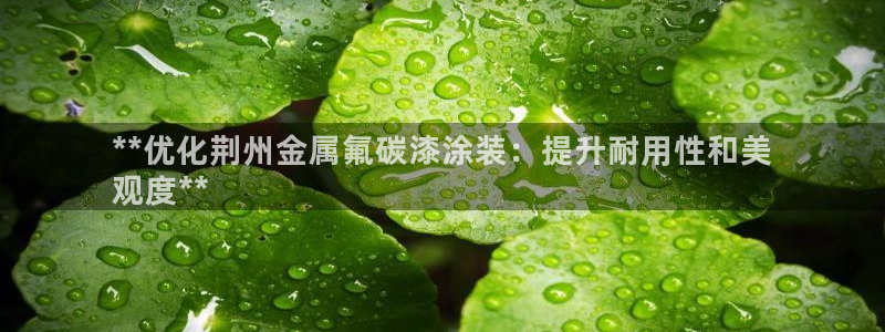 美高梅酒店集团是哪个国家的