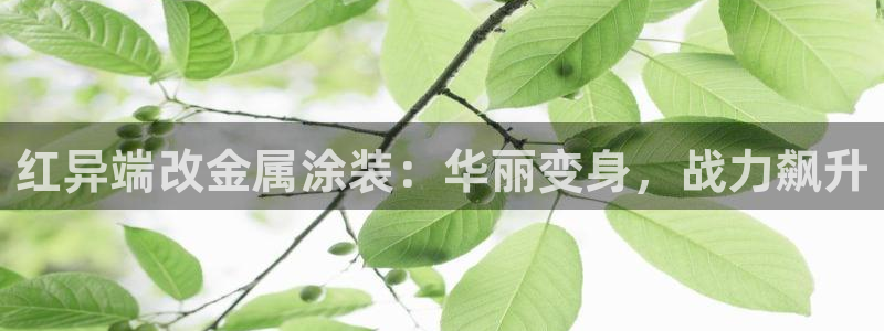 美高梅有什么好吃的