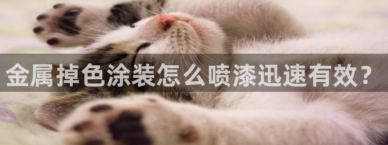美高梅酒店澳门是总部吗还是分部