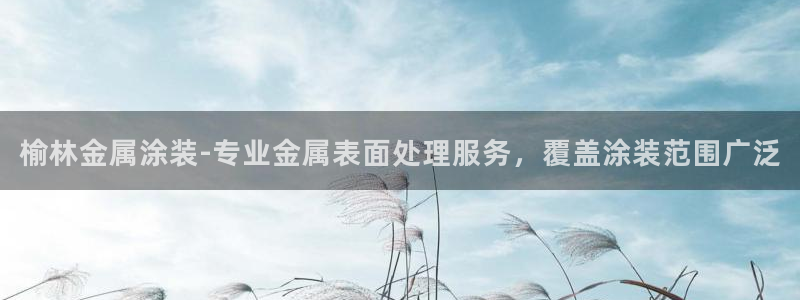 美狮美高梅酒店英文