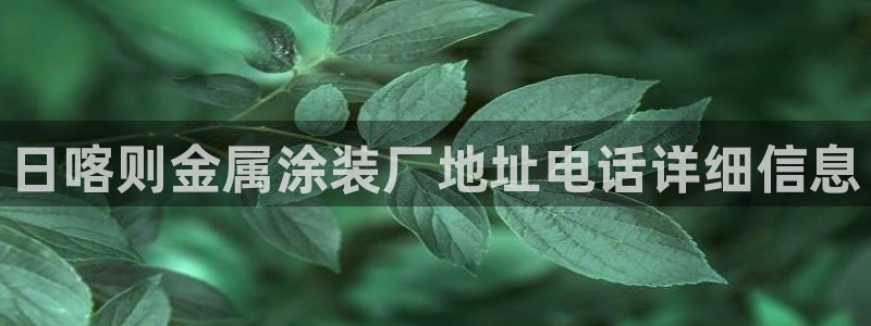 美高梅酒店是谁的