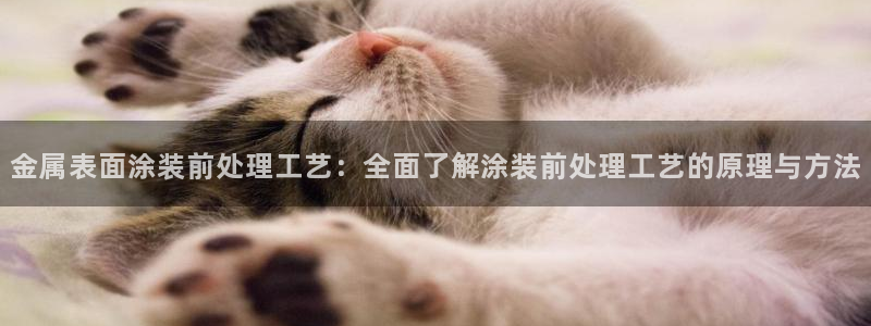 美高梅奶茶在哪里拿