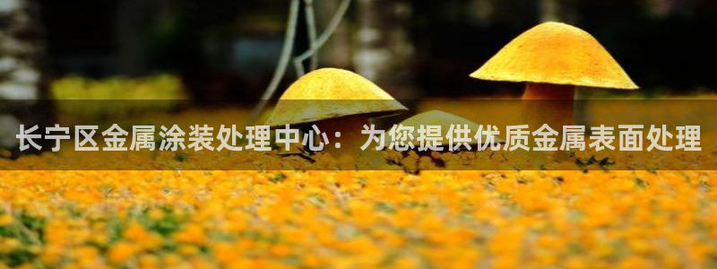 美高梅空中海洋秀在哪里