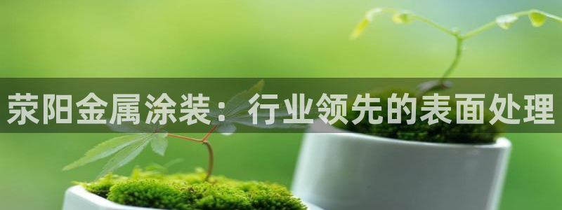 美高梅官方游戏网安卓版