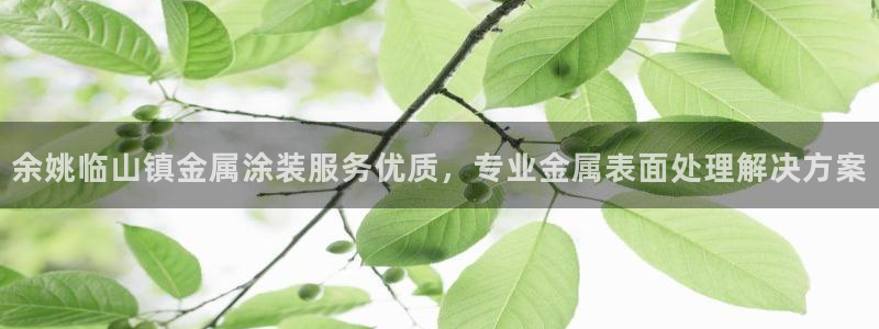美高梅何超琼持股