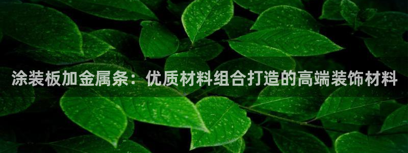 美高梅是哪个国家的品牌