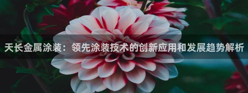 美高梅酒店发展历史