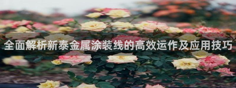 美高梅酒店在哪个区