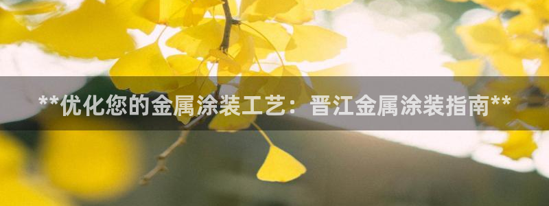 美高梅酒店何超琼